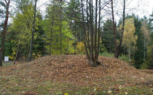 32. Saloviškių pilkapynas.jpg